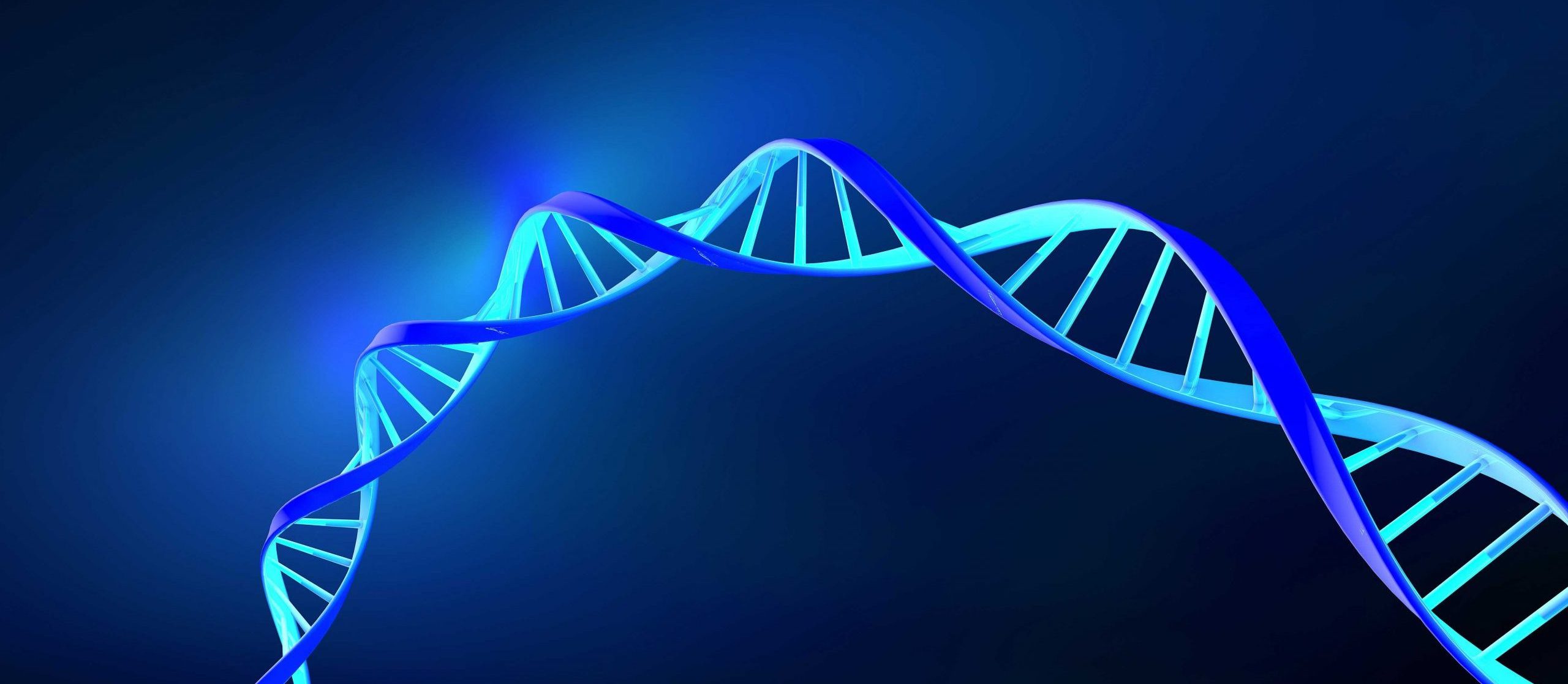 Full Spectrum Plasmid DNA